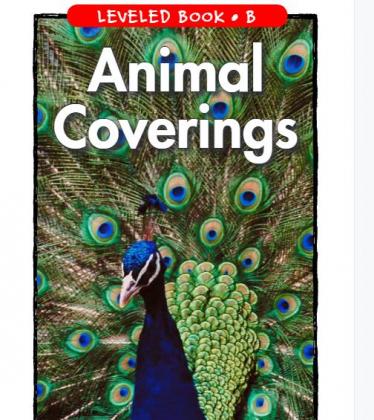 Animal Coverings Raz分级英语绘本pdf资源免费下载 亲亲宝贝网