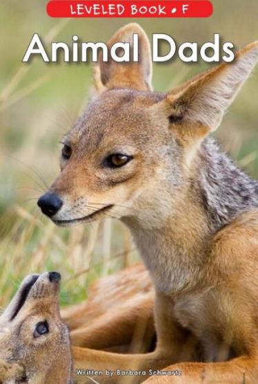 《Animal Dads》RAZ分级英文绘本pdf资源免费下载