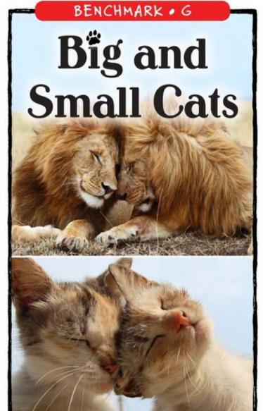 《Big and Small Cats》RAZ绘本paf资源百度网盘免费下载