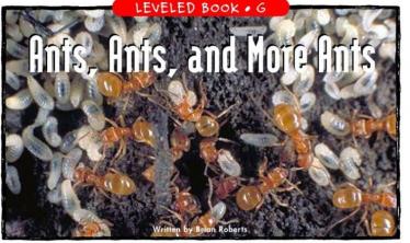 《Ants,Ants,and More Ants》RAZ绘本pdf资源免费下载