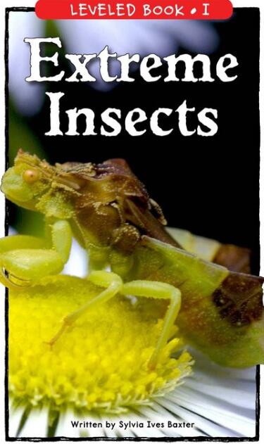 《Extreme Insects》RAZ分级绘本pdf资源免费下载