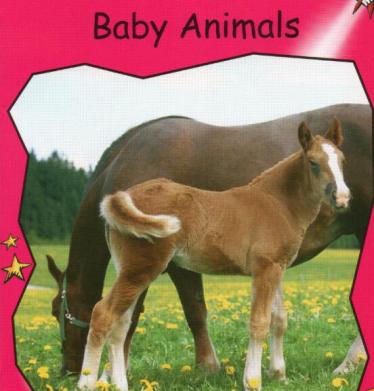 《Baby Animals》红火箭分级绘本pdf资源免费下载