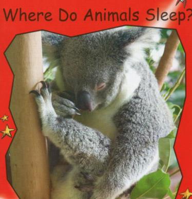 《Where Do Animals Sleep》红火箭分级绘本pdf资源免费下载