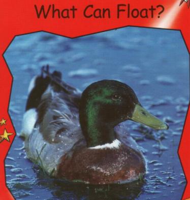 《What Can Float》红火箭分级绘本pdf资源免费下载