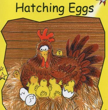 《Hatching Eggs》红火箭分级绘本pdf资源免费下载