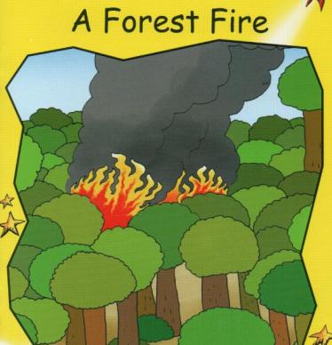 《A Forest Fire》红火箭分级绘本pdf资源免费下载
