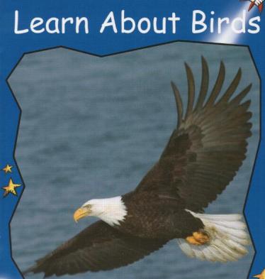 《Learn About Birds》红火箭分级绘本pdf资源免费下载