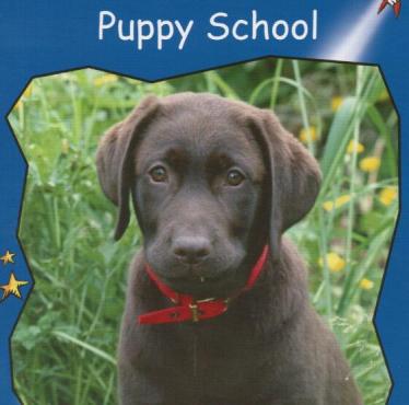 《Puppy School》红火箭分级绘本pdf资源免费下载