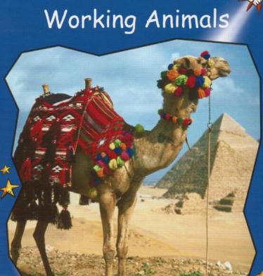 《Working Animals》红火箭分级绘本pdf资源免费下载