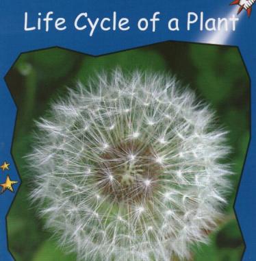 《Life Cycle of a Plant》红火箭分级绘本pdf资源免费下载