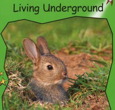 《Living Underground》红火箭分级绘本pdf资源免费下载