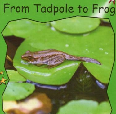 《From Tadpole to Frog》红火箭分级绘本pdf资源免费下载