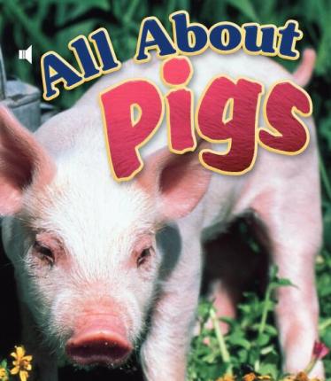 《All About Pigs》儿童英语分级读物pdf资源免费下载