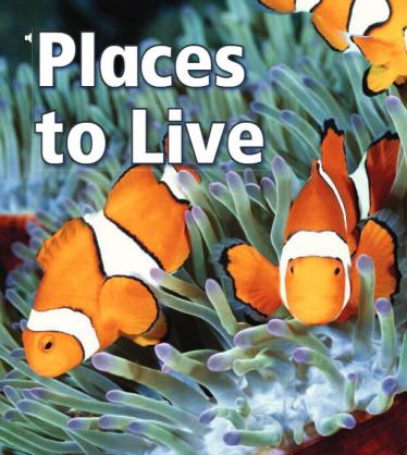 《Places to Live》儿童英语分级读物pdf资源免费下载