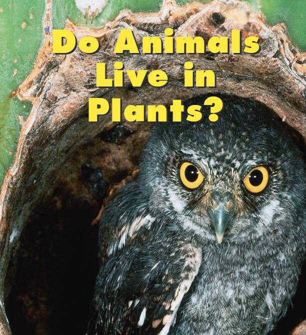 《Do Animals Live in Plants》儿童英语分级读物pdf资源免费下载