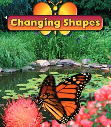 《Changing Shapes》儿童英语分级读物pdf资源免费下载