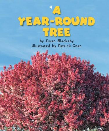 《A Year-Round Tree》儿童英语分级读物pdf资源免费下载