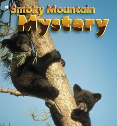 《Smoky Mountain Mystery》儿童英语分级读物pdf资源免费下载