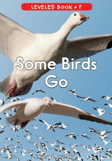 《Some Birds Go》RAZ分级英语绘本pdf资源免费下载