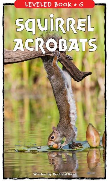 《Squirrel Acrobats》RAZ分级绘本paf资源免费下载