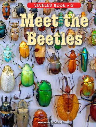 《Meet the Beetles》RAZ分级绘本paf资源免费下载