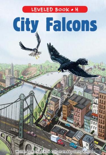 《City Falcons》RAZ分级英语绘本paf资源免费下载