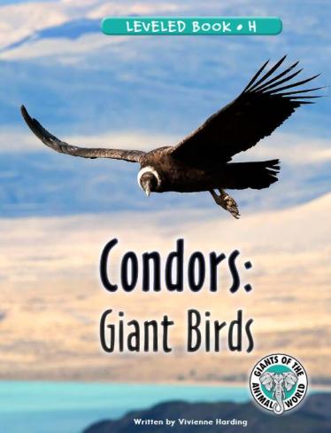 《Condors Giant Birds》RAZ分级绘本paf资源免费下载