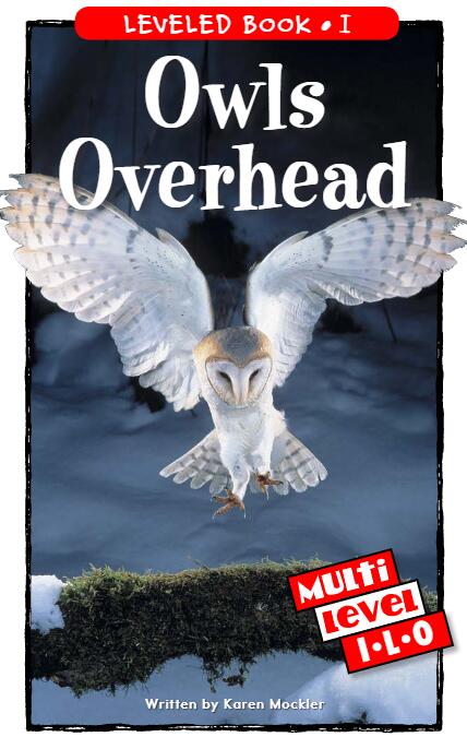 《Owls Overhead》RAZ分级英语绘本pdf资源免费下载