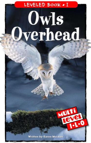 《Owls Overhead》RAZ分级英语绘本pdf资源免费下载