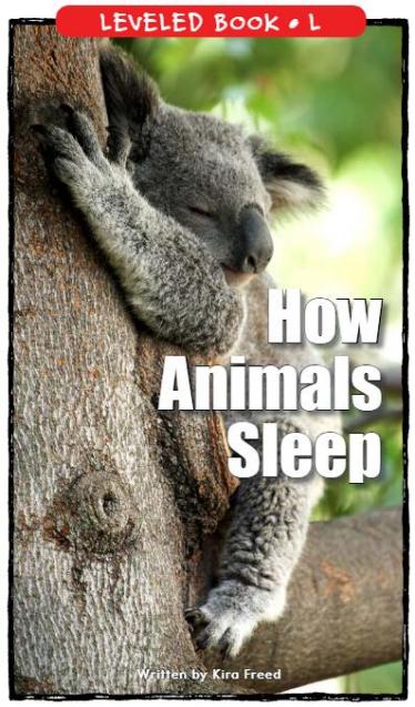 《How Animals Sleep》RAZ分级绘本pdf资源免费下载