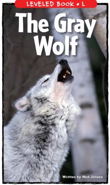 《The Gray Wolf》RAZ分级绘本pdf资源免费下载