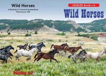 《Wild Horses》RAZ分级绘本pdf资源免费下载