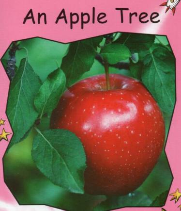 《An Apple Tree》红火箭绘本pdf资源免费下载