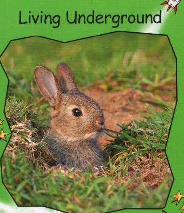 《Living Underground》红火箭分级绘本pdf资源免费下载