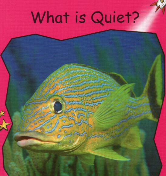 《What is Quiet》红火箭分级阅读绘本pdf资源免费下载