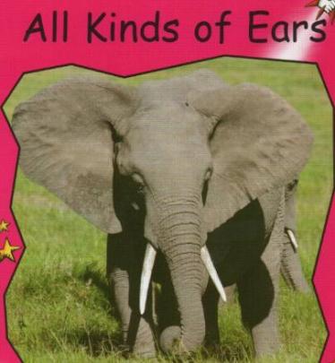 《All Kinds Of Ears》红火箭分级阅读绘本pdf资源免费下载