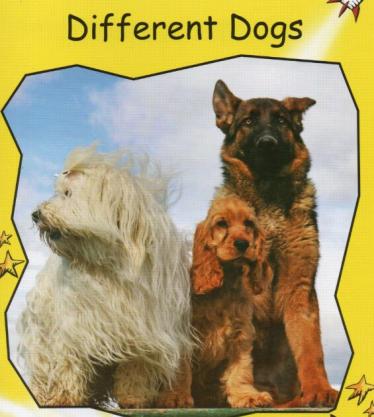 《Different Dogs》红火箭分级阅读绘本pdf资源免费下载