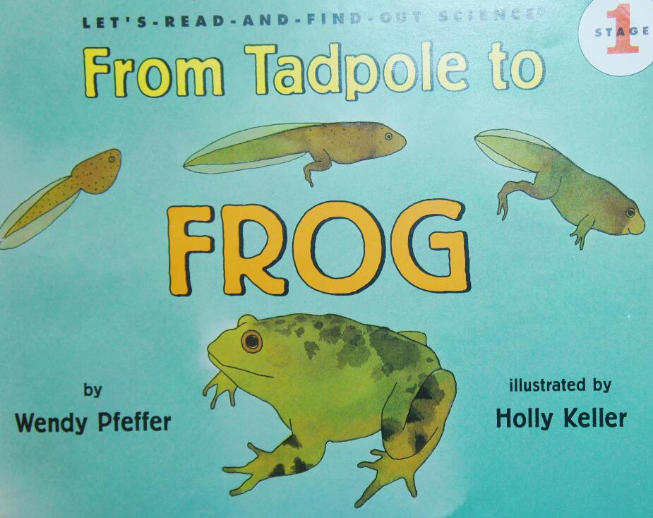 《From Tadpole to Frog》自然科学绘本pdf资源免费下载