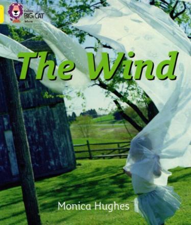 《The Wind》大猫英语分级绘本pdf资源免费下载