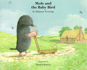 Mole And The Baby Bird高清绘本图片百度网盘免费下载