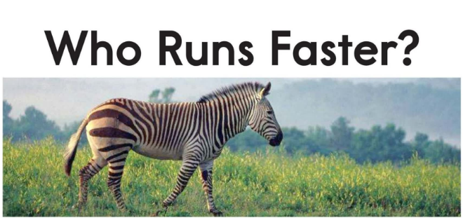 没有什么比猎豹跑得更快了