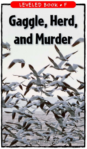 Gaggle, Herd, and Murder绘本PDF+音频资源免费下载