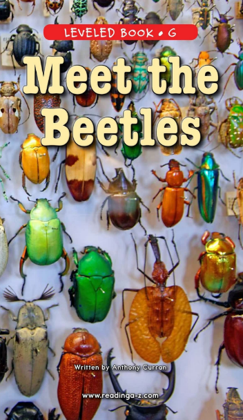 Meet the Beetles绘本电子档+音频百度云免费下载