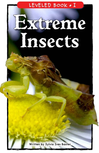 Extreme Insects绘本PDF+音频资源免费下载