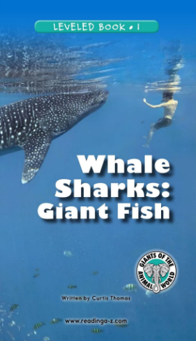 Whale Sharks Giant Fish绘本电子版+MP3百度云免费下载