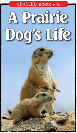 A Prairie Dog's Life绘本PDF+MP3百度云免费下载