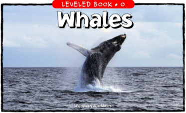 Whales绘本PDF+音频百度网盘免费下载