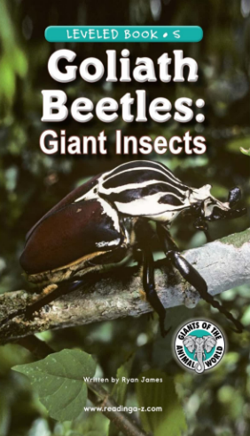 Goliath Beetles Giant Insects绘本PDF+MP3百度网盘免费下载