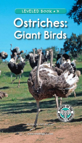 raz x级阅读Ostriches Giant Birds绘本PDF+音频百度网盘免费下载