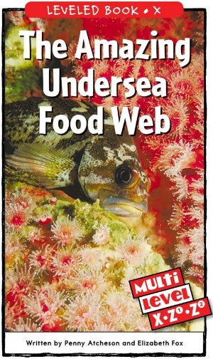 raz x级阅读The Amazing Undersea Food Web绘本PDF+音频百度网盘免费下载